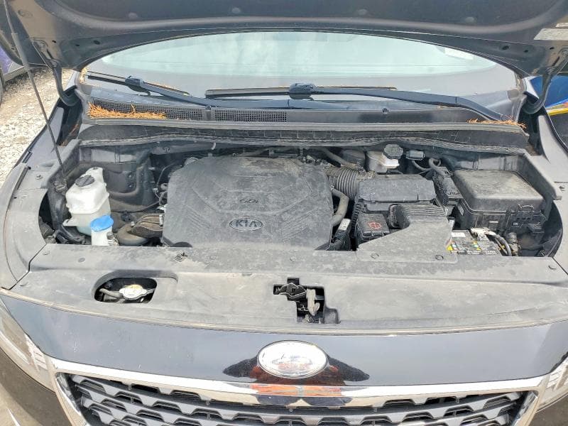 2019 KIA SEDONA EX EX 12