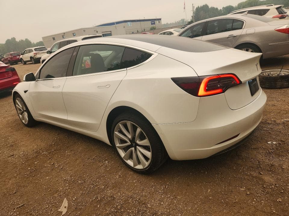 2019 TESLA MODEL 3 2