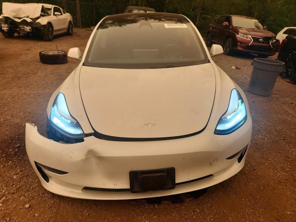 2019 TESLA MODEL 3 5