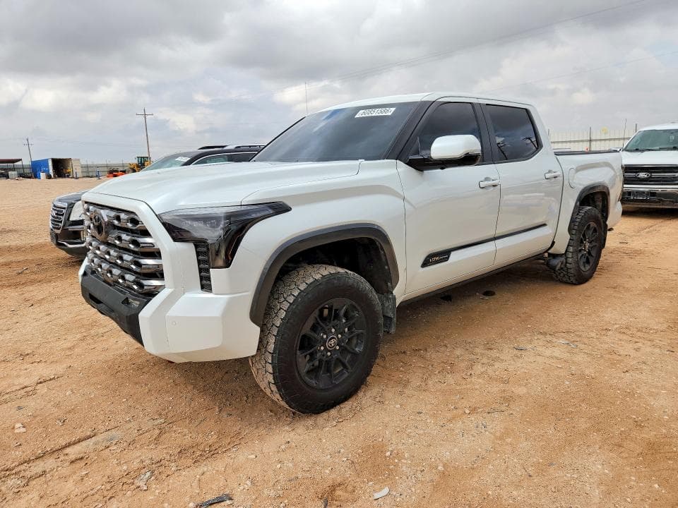 2025 TOYOTA TUNDRA 1794 EDITION HV - 1