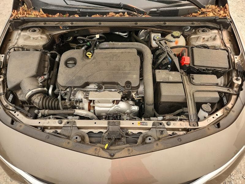 2022 CHEVROLET MALIBU LS LS 12