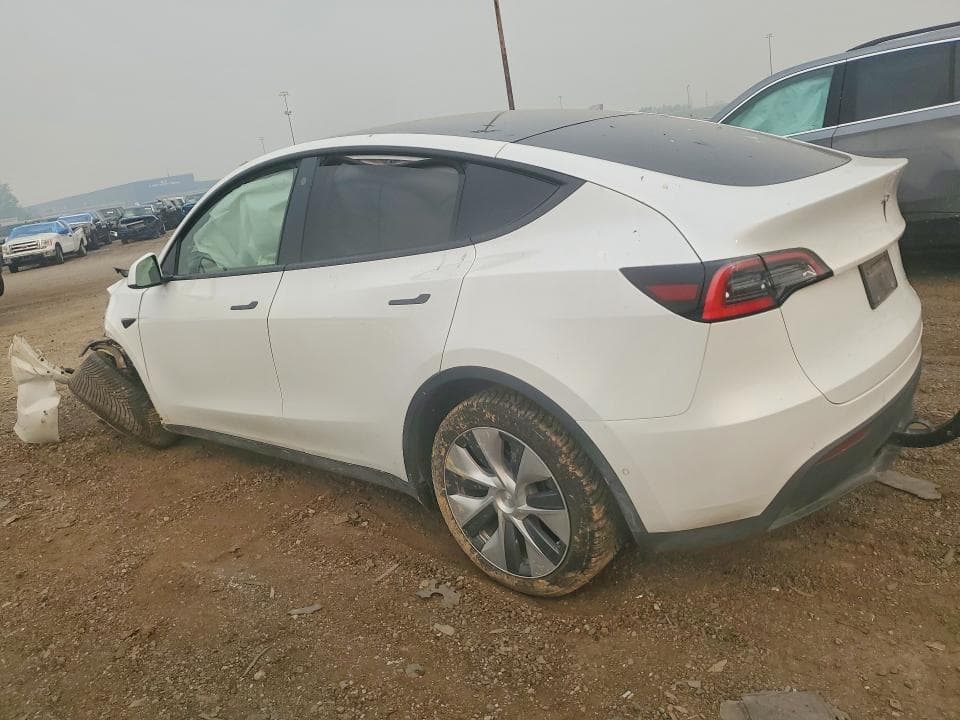 2021 TESLA MODEL Y 2
