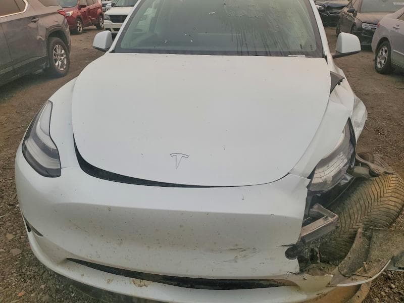 2021 TESLA MODEL Y 11