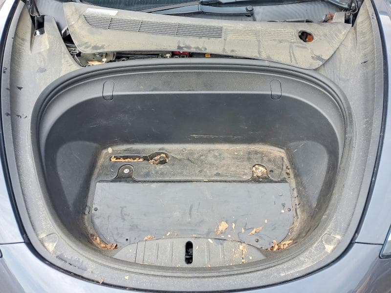 2018 TESLA MODEL 3 11