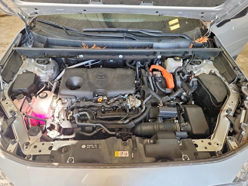 2024 TOYOTA RAV4 LE 12