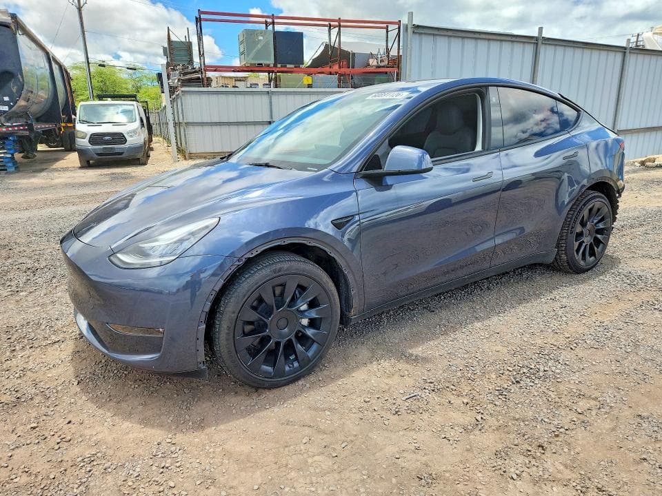 2023 TESLA MODEL Y - 1