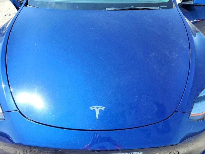 2023 TESLA MODEL Y 11