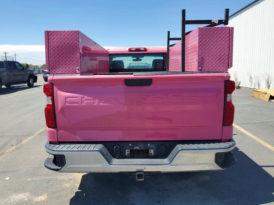 2020 CHEVROLET SILVERADO C1500 6