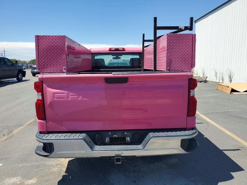 2020 CHEVROLET SILVERADO C1500 10