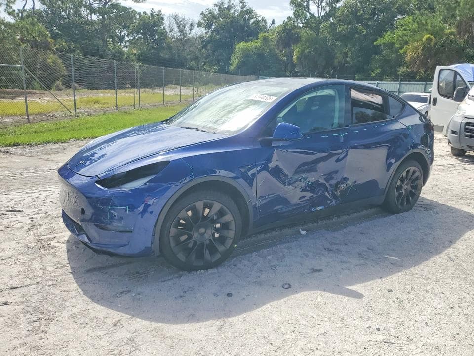 2021 TESLA MODEL Y - 1