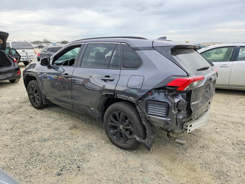 2024 TOYOTA RAV4 SE 2