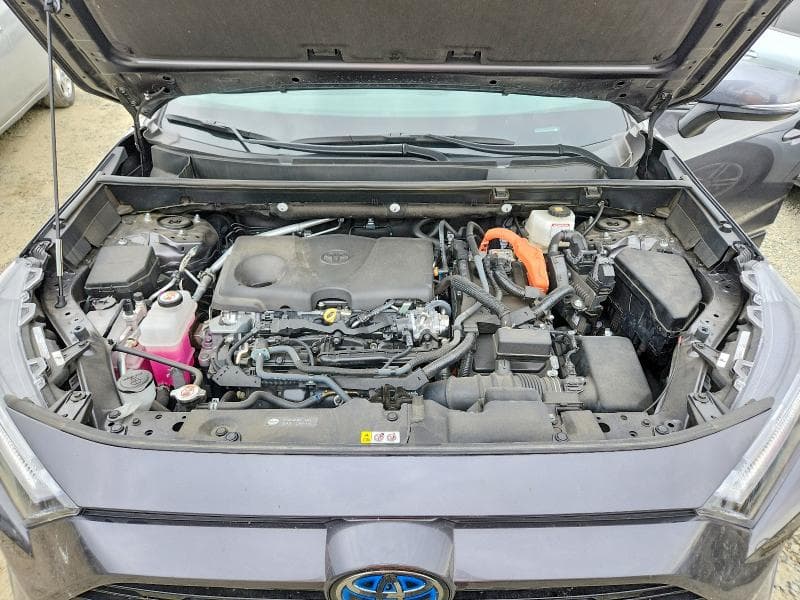 2024 TOYOTA RAV4 SE 12