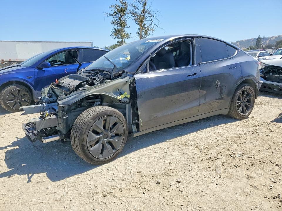 2025 TESLA MODEL Y - 1
