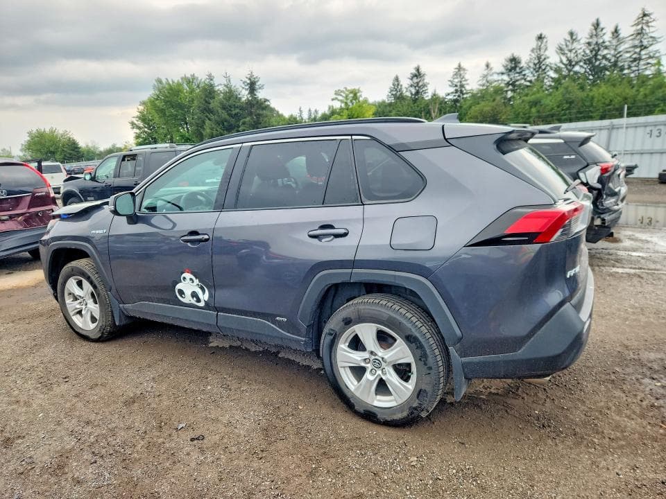 2019 TOYOTA RAV4 LE 2