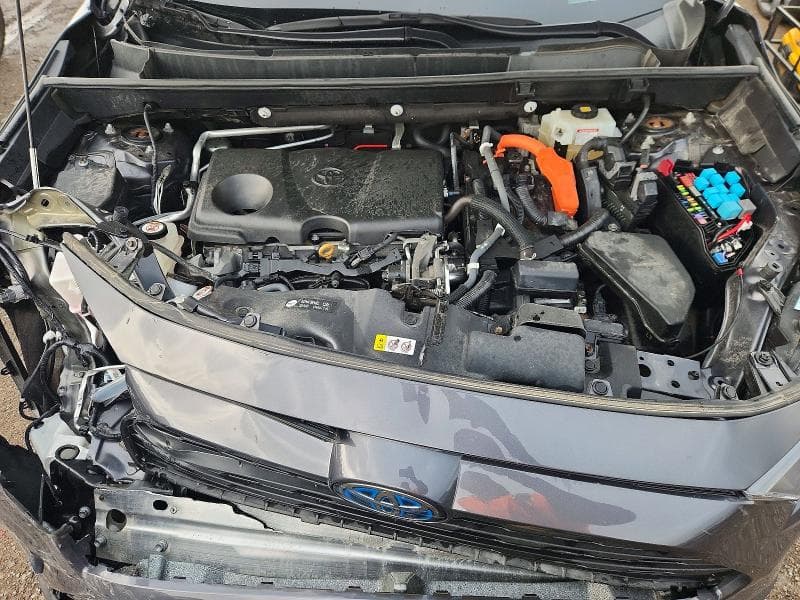 2019 TOYOTA RAV4 LE 12