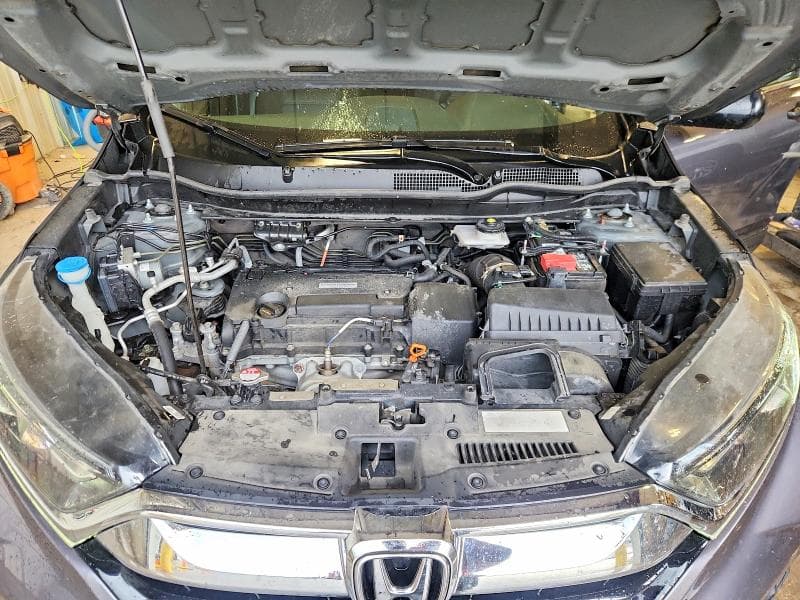 2019 HONDA CR-V LX 12