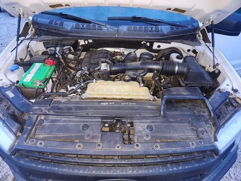 2019 FORD F150 11
