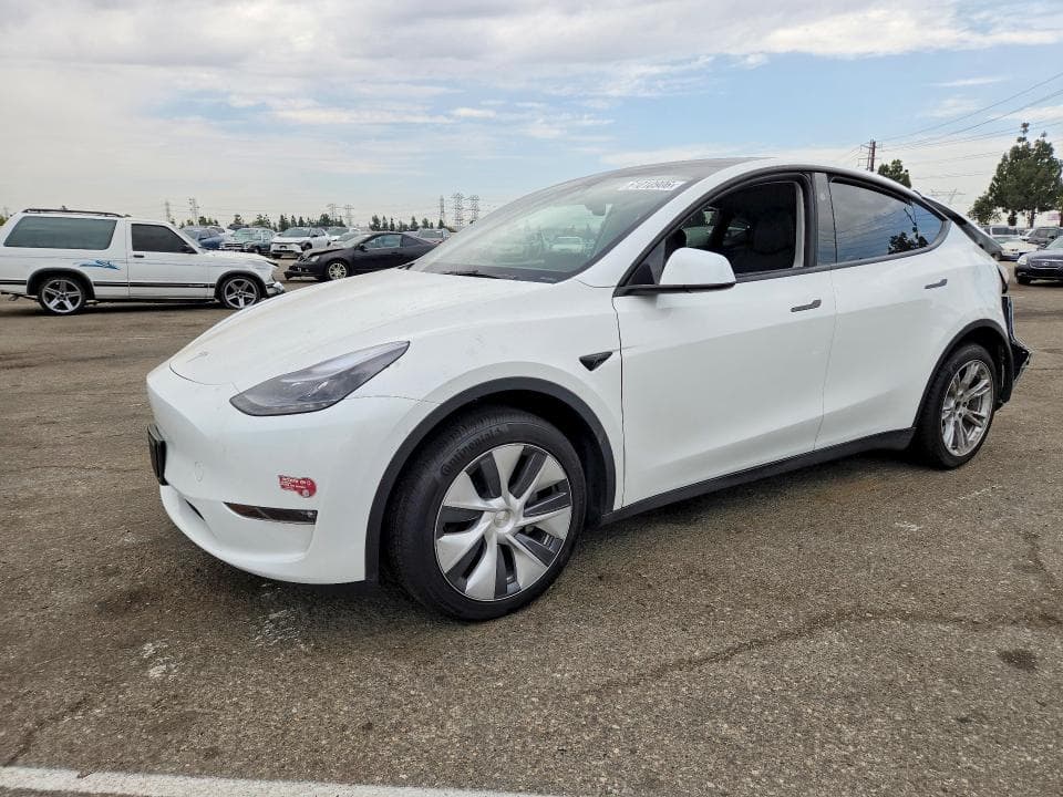 2023 TESLA MODEL Y - 1
