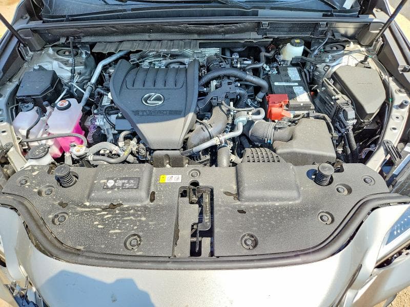 2025 LEXUS NX 350 BASE BASE 12
