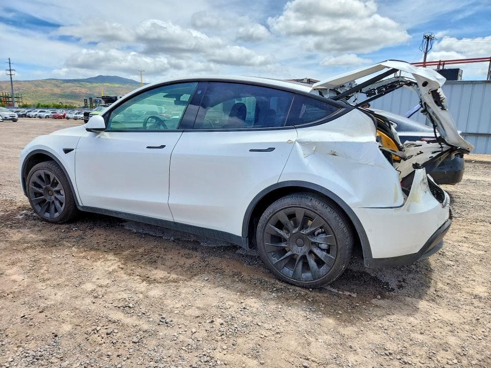 2021 TESLA MODEL Y 2