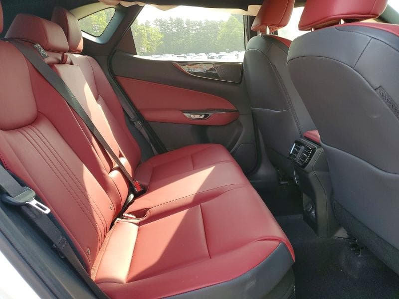 2024 LEXUS NX 350H PREMIUM PREMIUM 11
