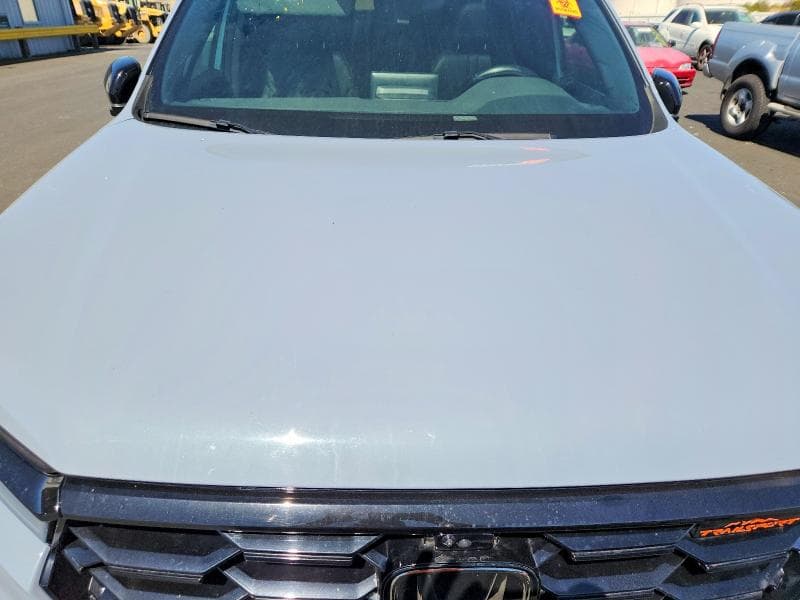 2023 HONDA PILOT TRAILSPORT 12