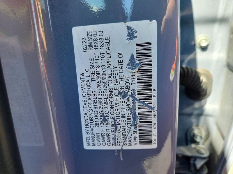 2023 HONDA PILOT TRAILSPORT 13