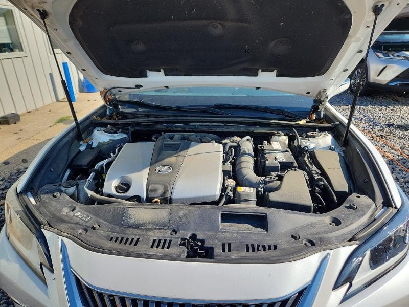 2019 LEXUS ES 350 350 11