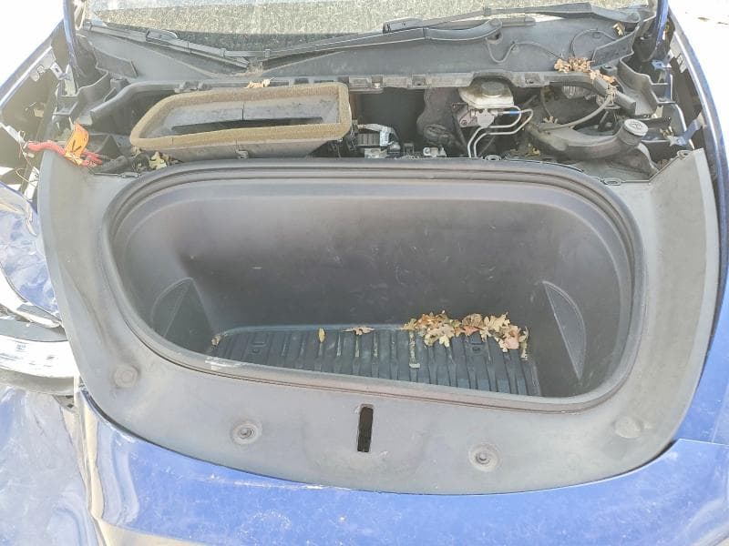 2021 TESLA MODEL Y 11