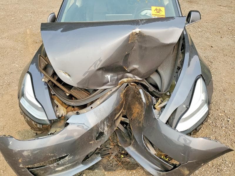 2019 TESLA MODEL 3 11