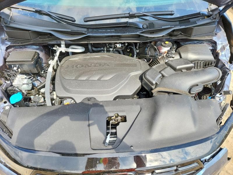 2026 HONDA ODYSSEY ELITE ELITE 12