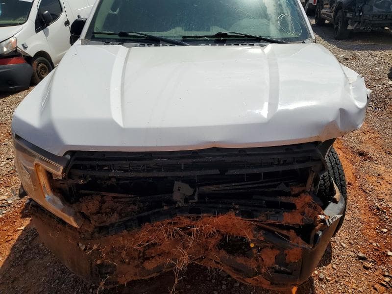 2019 FORD F150 11