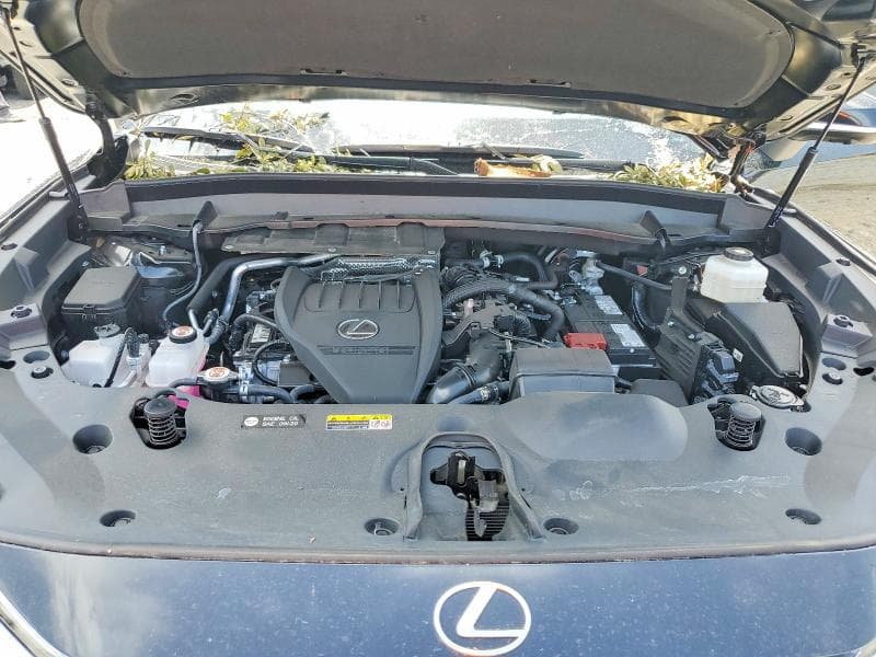 2025 LEXUS TX 350 PREMIUM 12