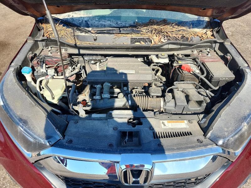 2018 HONDA CR-V EX 11