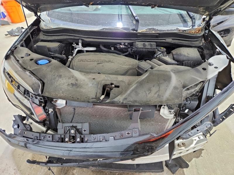 2022 HONDA PILOT TRAILSPORT TRAILSPORT 12