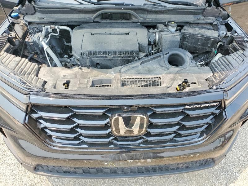 2025 HONDA PILOT BLACK 12