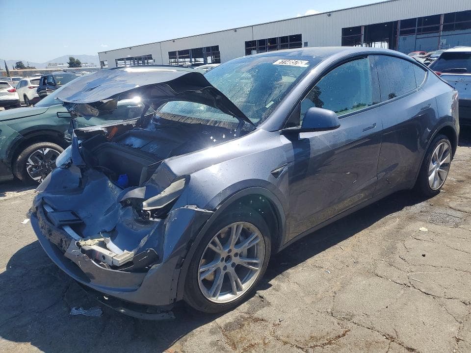 2023 TESLA MODEL Y - 1