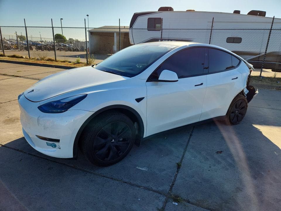 2025 TESLA MODEL Y - 1
