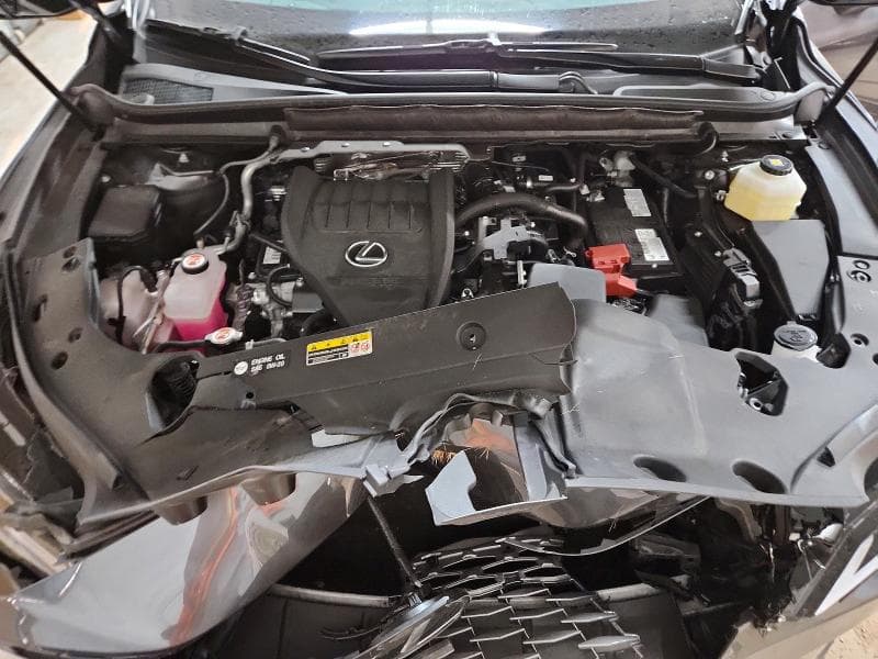 2025 LEXUS RX 350 PREMIUM 12