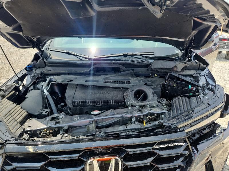 2025 HONDA PILOT BLACK 7