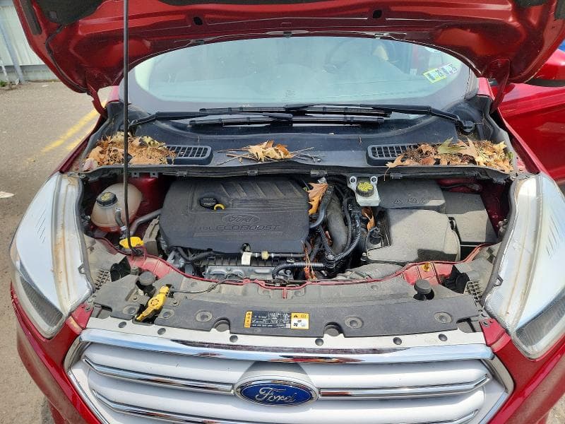 2018 FORD ESCAPE SE 12