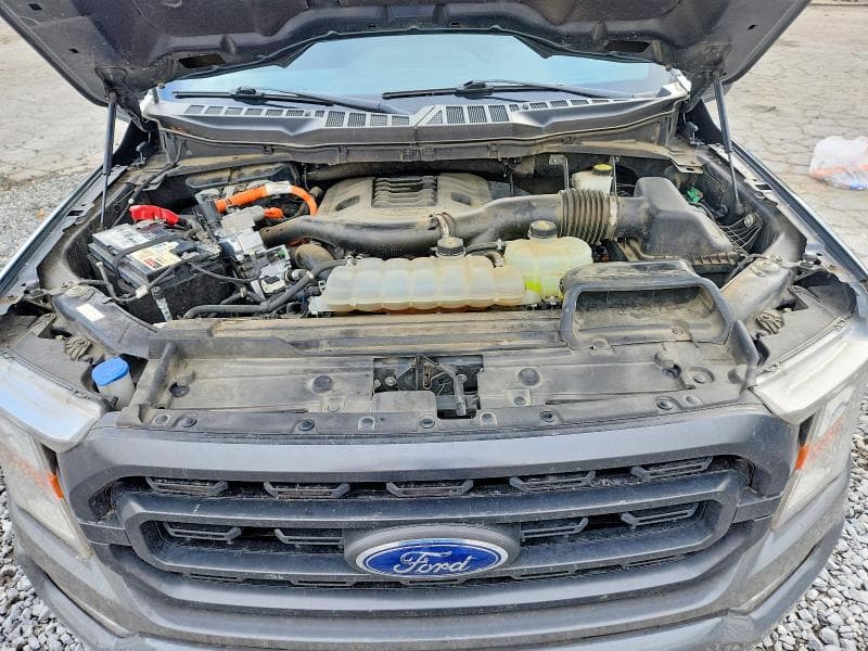2021 FORD F150 SUPERCREW 11
