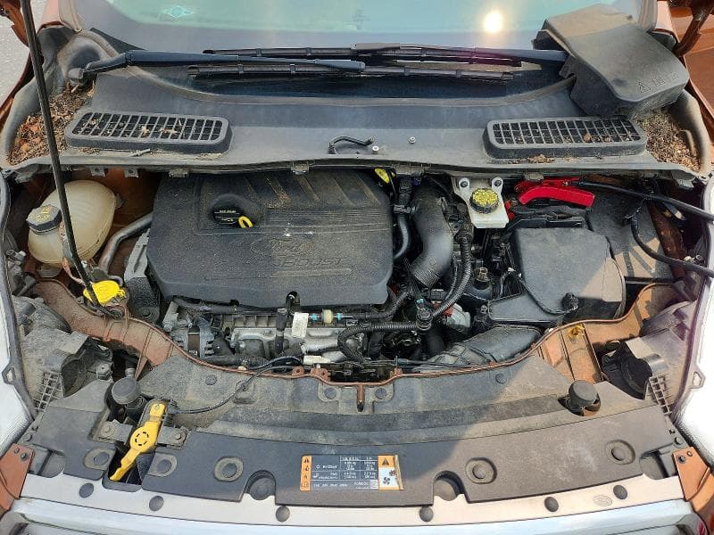 2017 FORD ESCAPE SE SE 12