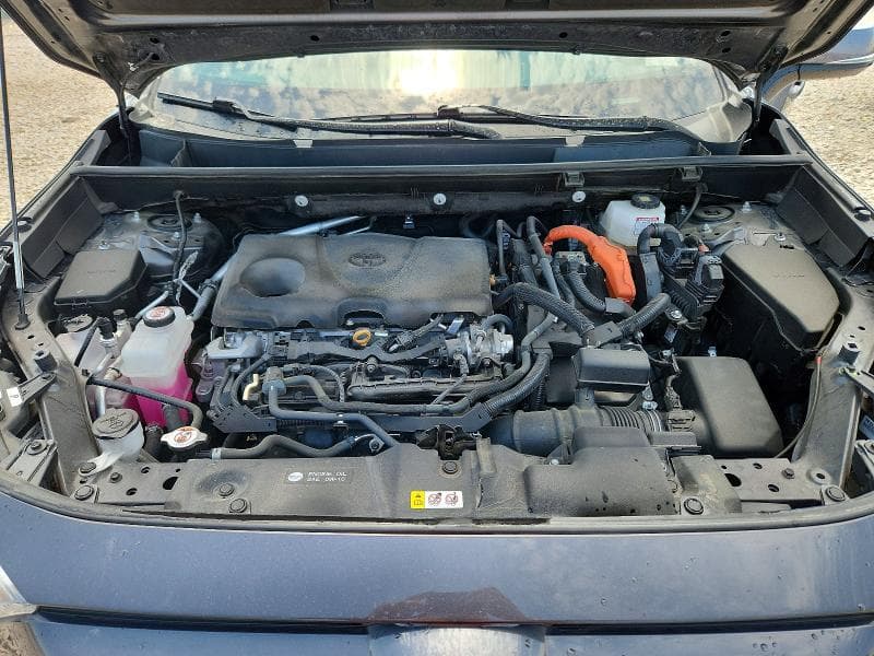 2024 TOYOTA RAV4 SE 11