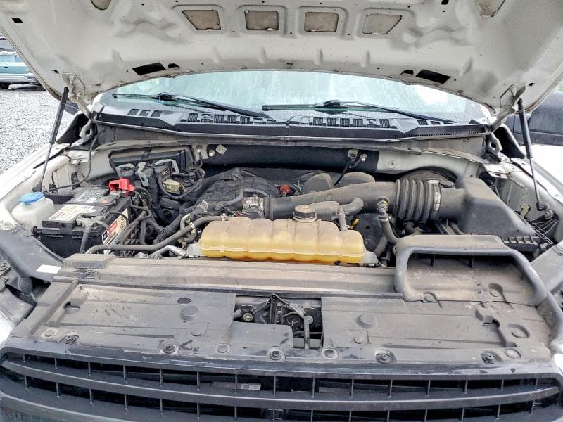 2019 FORD F150 11