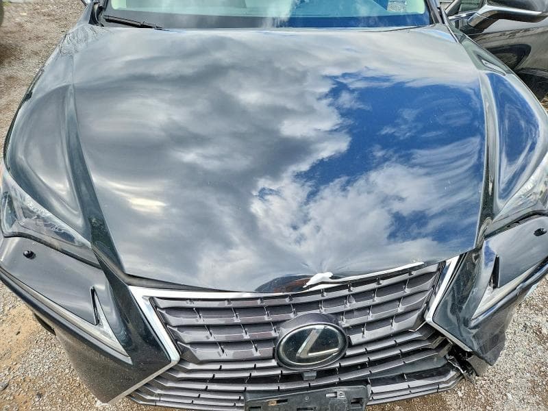 2019 LEXUS NX 300 BASE 12