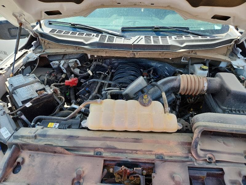 2025 FORD F150 XLT 11