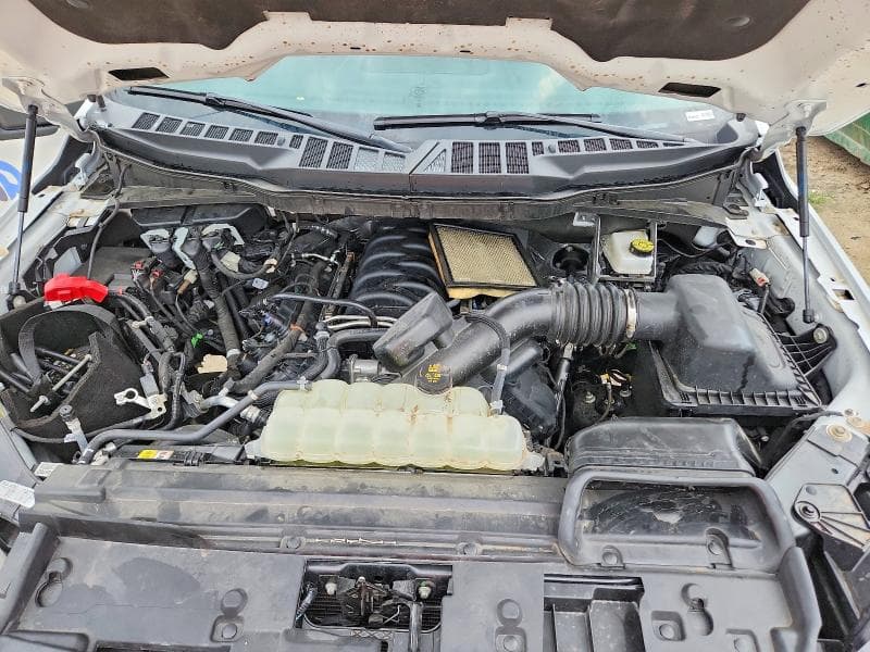 2025 FORD F150 XLT 11