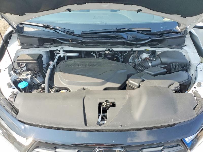 2025 HONDA ODYSSEY EXL 12