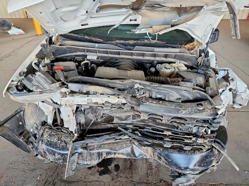 2019 CHEVROLET SILVERADO K1500 11